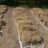 Gardening with the Mid-South Horse Review